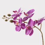 Διακοσμητικό φυτό σε γλάστρα Οrchid Beauty Inart 30x13x46εκ - Image 2