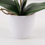 Διακοσμητικό φυτό σε γλάστρα Οrchid Beauty Inart 30x13x46εκ - Image 3