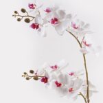 Διακοσμητικό φυτό σε γλάστρα Οrchid White Inart 36x17x65εκ - Image 2