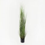 Διακοσμητικό φυτό σε γλάστρα Βoxwood Inart πράσινο Φ46x150εκ