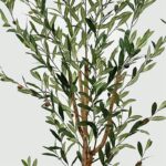 Διακοσμητικό φυτό σε γλάστρα Olia Inart πράσινο 65x55x180εκ - Image 2