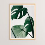 Πίνακας Leafy pakoworld με ψηφιακή εκτύπωση και πλαίσιο 33x1.5x48εκ