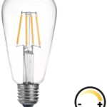 Λαμπτήρας LED ST64 Bulb pakoworld dimmable 4W E27 2700K clear
