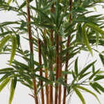 Διακοσμητικό φυτό σε γλάστρα Rhapis Palm Inart πράσινο Φ80x180εκ - Image 2