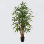 Διακοσμητικό φυτό σε γλάστρα Rhapis Palm Inart πράσινο Φ80x180εκ